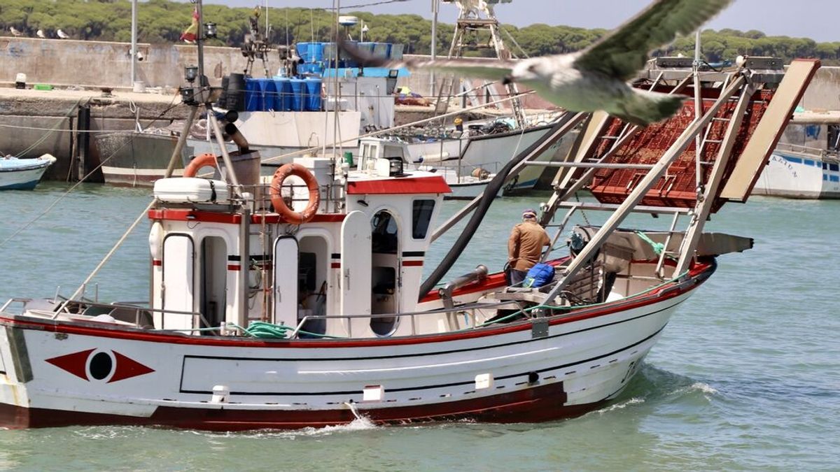 La flota pesquera andaluza convoca un paro indefinido a partir del 21 de marzo por el precio del combustible
