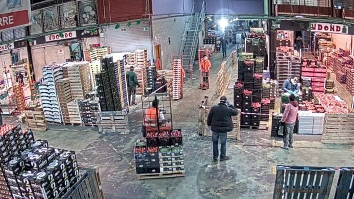 Mercabilbao acusa la huelga del transporte: “No hay anchoa, y escasean el rape, el besugo o las hortalizas” Mercabilbao acusa la huelga del transporte: “No hay anchoa, y escasean el rape, el besugo o las hortalizas”