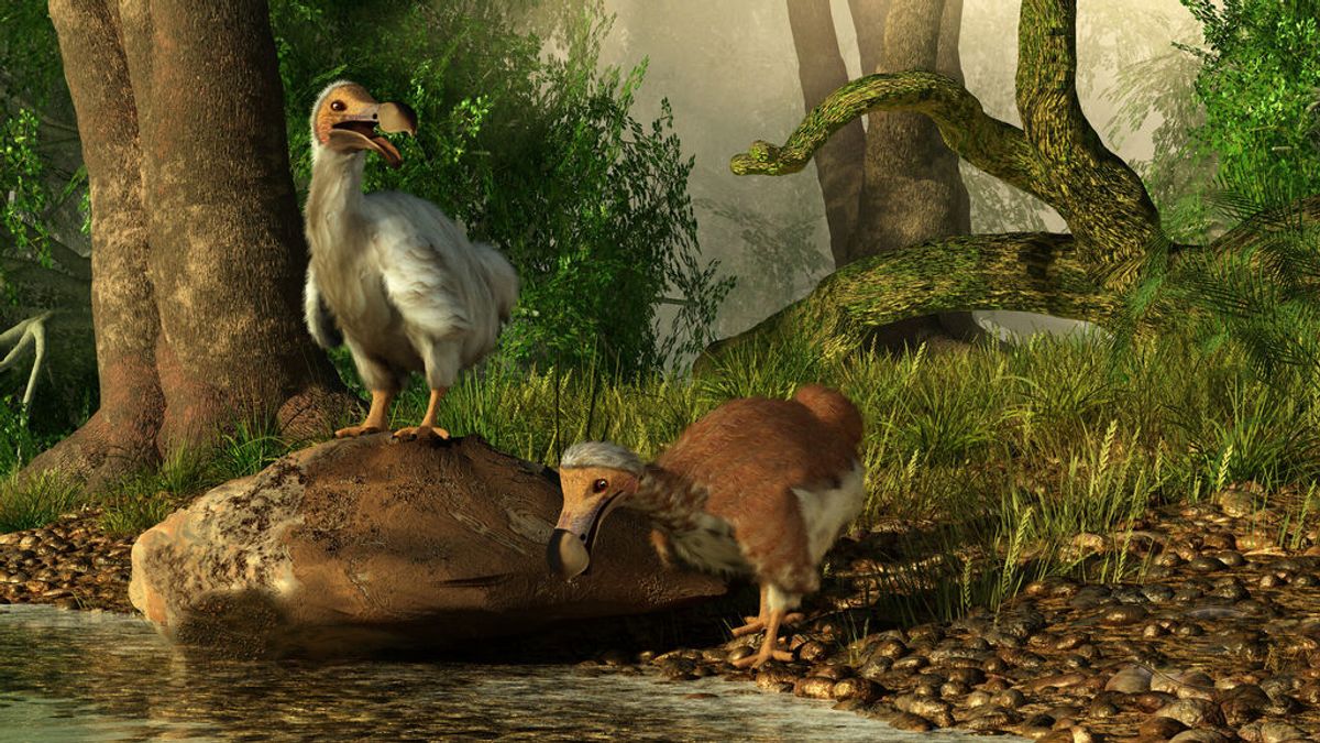 ¿Pueden volver el mamut, pájaro Dodo o el Neandertal? La ciencia quiere resucitar especies extintas
