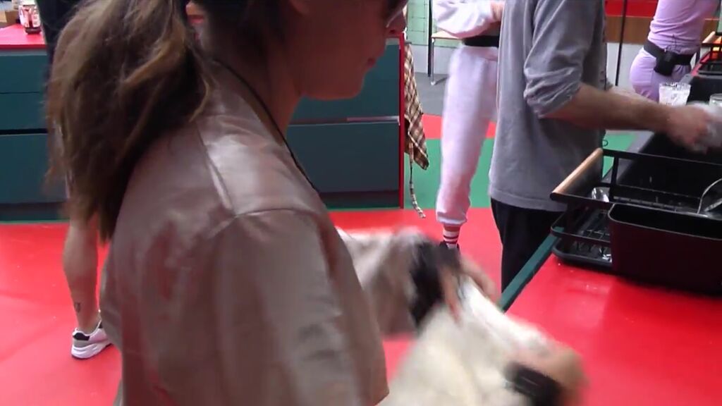 Los trapos en "decadencia"