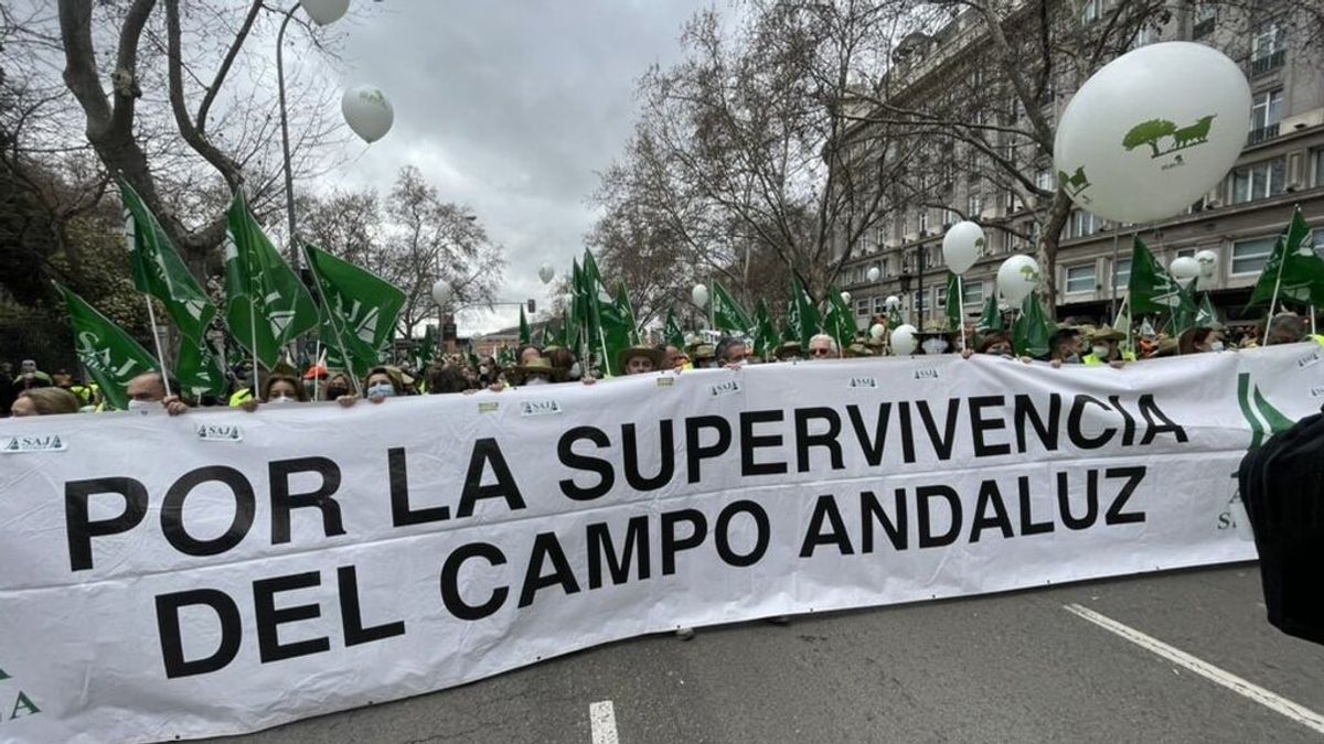Moreno urge al Gobierno a actuar tras la protesta del mundo rural: "La voz del campo se tiene que escuchar" Moreno urge al Gobierno a actuar tras la protesta del mundo rural: "La voz del campo se tiene que escuchar"