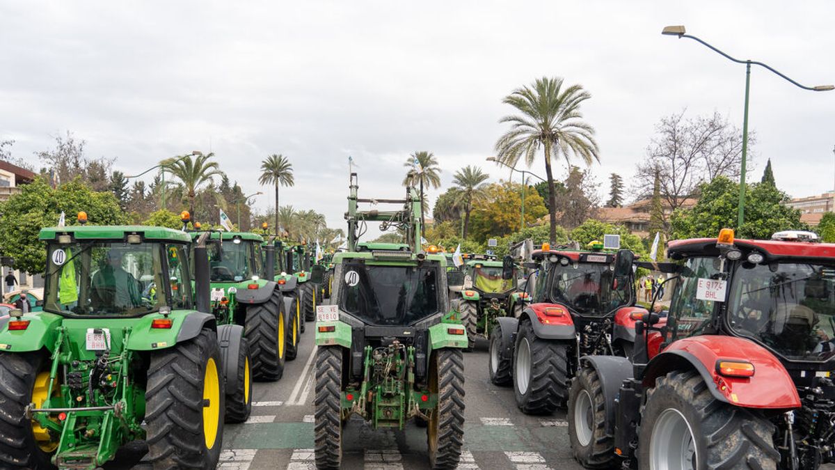 Miles de agricultores y ganaderos andaluces exigen este domingo medidas para garantizar su "supervivencia"