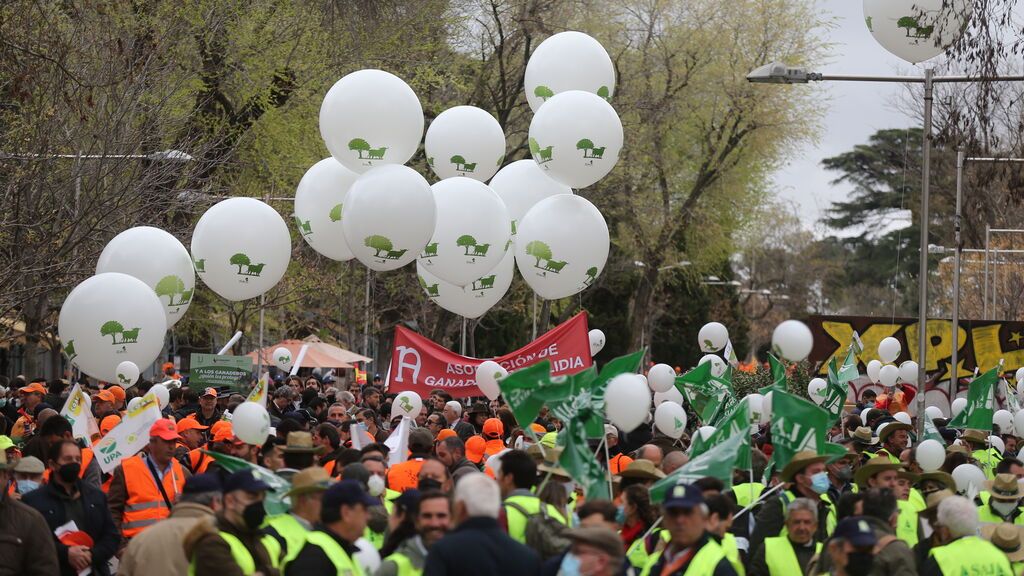 Manifestación 20-M Rural en Madrid: el mundo del toro denuncia "olvido" y "persecución"