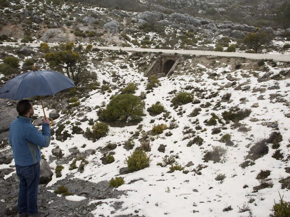 Cuando Va A Nevar En España