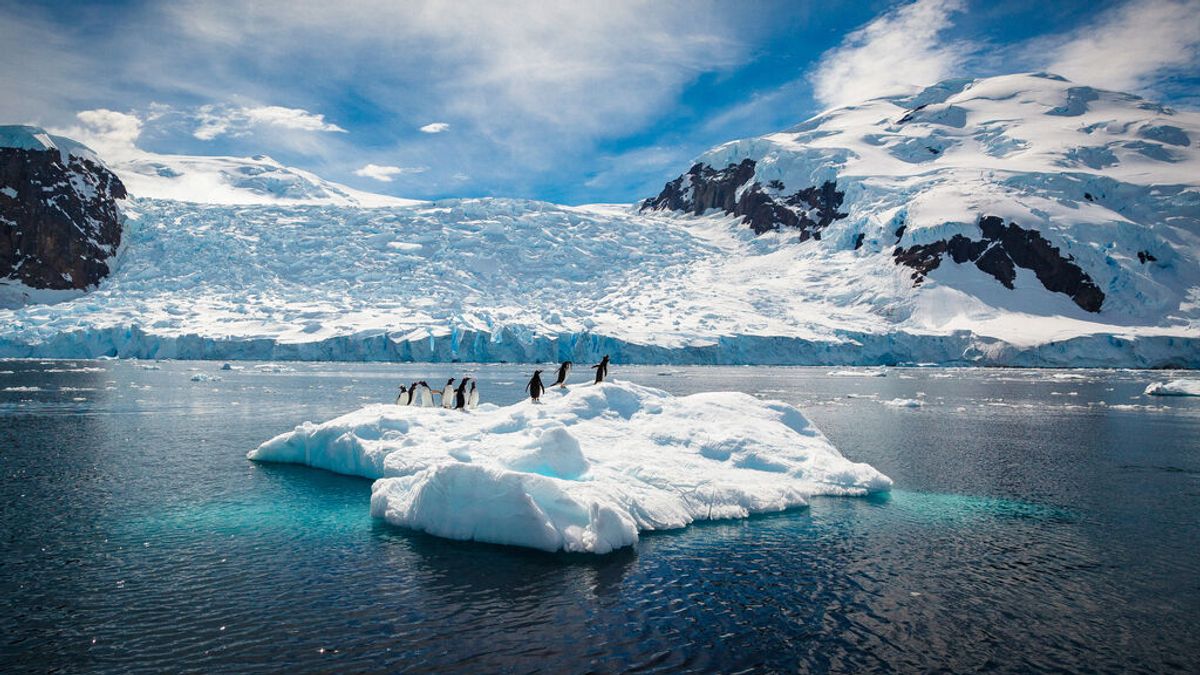 Ola de calor sin precedentes en la Antártida: temperatura más de 20 ºC por encima del promedio