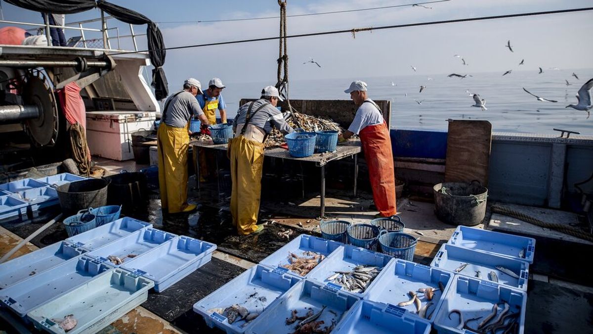 900 pescadores valencianos recuperan 81.510 kilos de basura marina en el Mediterráneo