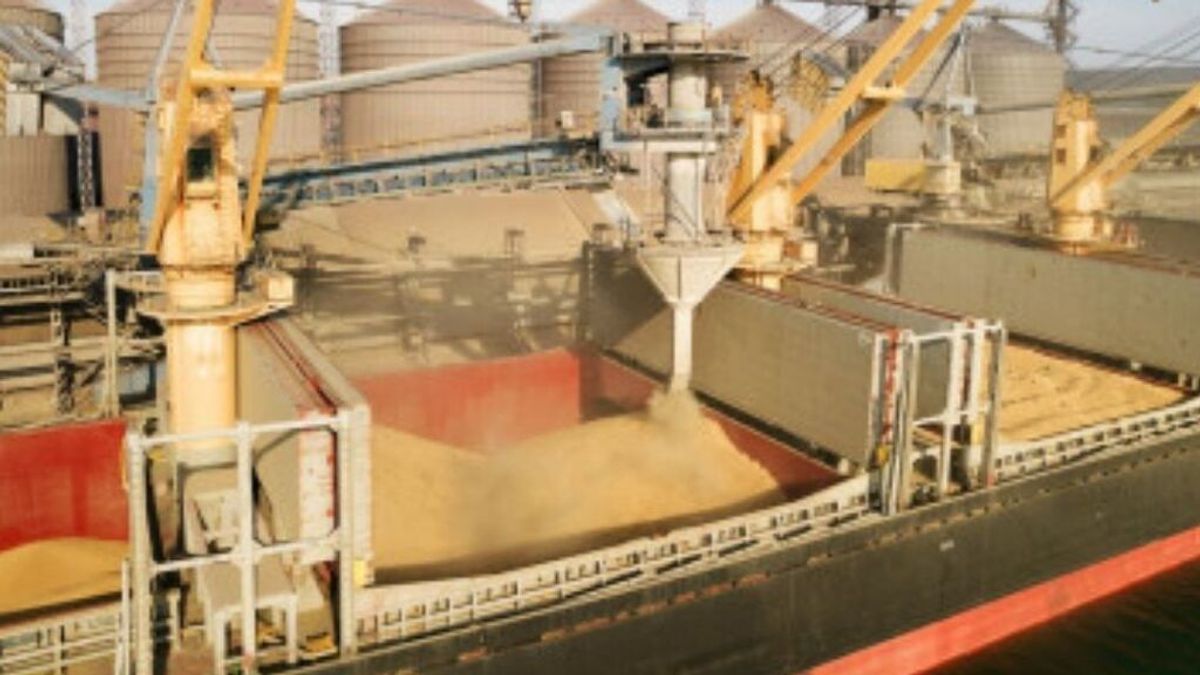 La guerra en Ucrania no pone en riesgo el abastecimiento de trigo en Europa: la UE tiene su propio granero La guerra en Ucrania no pone en riesgo el abastecimiento de trigo en Europa: la UE tiene su propio granero