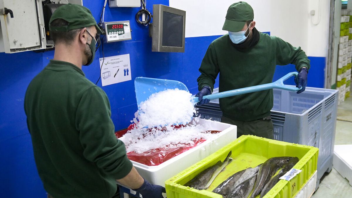 Cataluña rebaja un 20 % las tasas de los puertos al sector pesquero para compensar la inflación Cataluña rebaja un 20 % las tasas de los puertos al sector pesquero para compensar la inflación