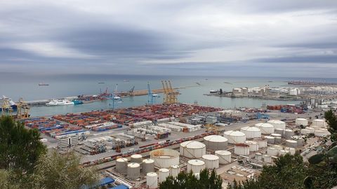 Memoria abeja cosa Piquetes en la zona de contenedores en el Puerto de Barcelona- NIUS
