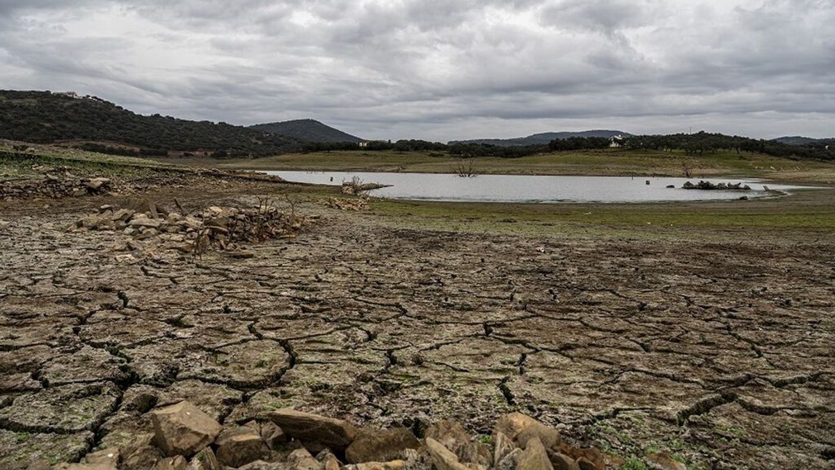Los embalses aprovechan las lluvias de marzo, suman 462 hm3 y se recuperan hasta el 44,9% de su capacidad Los embalses aprovechan las lluvias de marzo, suman 462 hm3 y se recuperan hasta el 44,9% de su capacidad