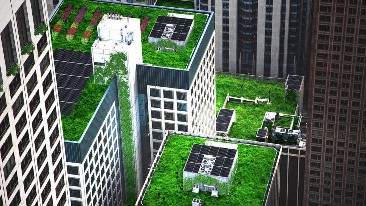 Un experimento comprueba si los tejados verdes con plantas ayudan a enfriar las ciudades
