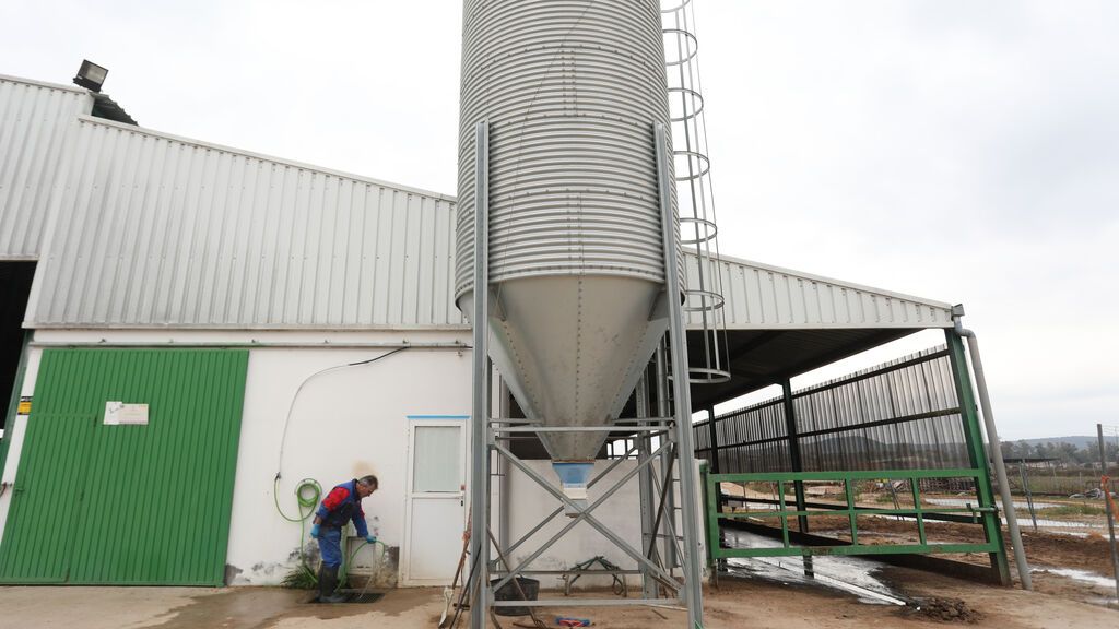 El sector lácteo: tres millones de litros de leche al desagüe