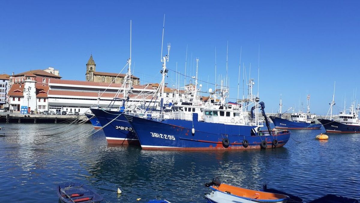 Barcos pesqueros en el puerto de Bermeo