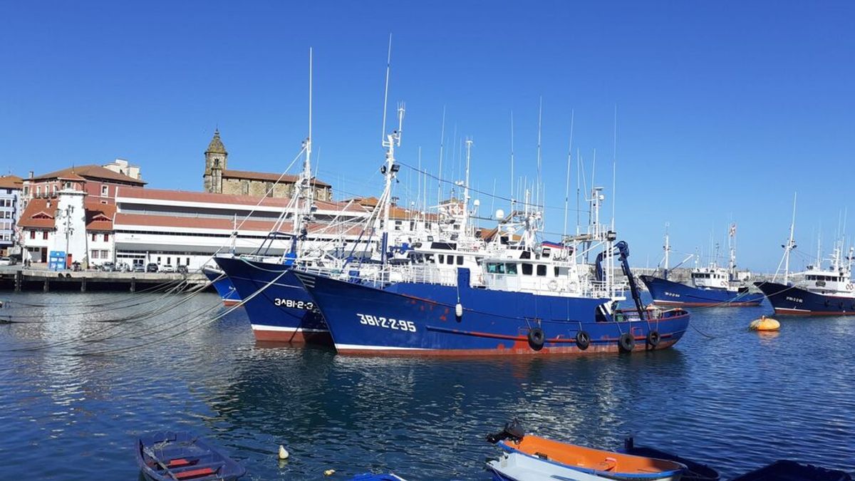 Barcos pesqueros en el puerto de Bermeo Barcos pesqueros en el puerto de Bermeo