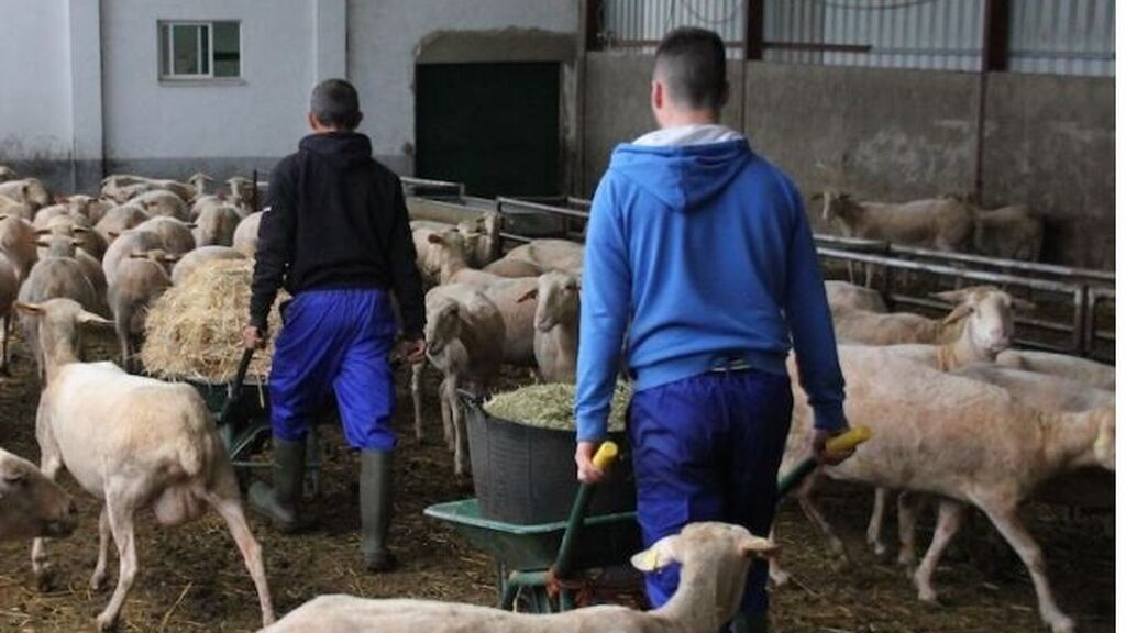 El sector agroalimentario: la huelga pone 100.000 puestos de trabajo en peligro