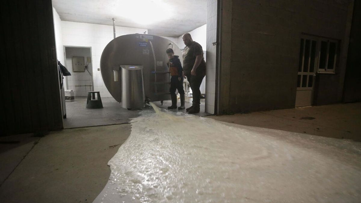 Unións Agrarias no comparte que los ganaderos se sumen al paro del transporte: “Se dan un tiro en el pie” Unións Agrarias no comparte que los ganaderos se sumen al paro del transporte: “Se dan un tiro en el pie”