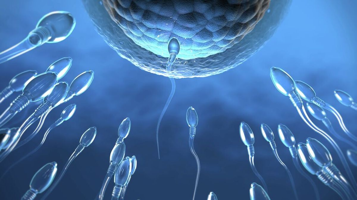 Presentan una píldora contraceptiva masculina no hormonal 99% efectiva en ratones Presentan una píldora contraceptiva masculina no hormonal 99% efectiva en ratones