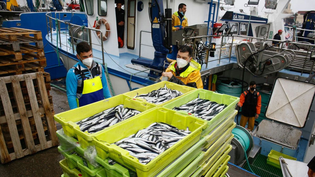 Actividad desigual en los puertos gallegos tras el fin del paro: en Vigo no han salido los barcos y en A Coruña, sí Actividad desigual en los puertos gallegos tras el fin del paro: en Vigo no han salido los barcos y en A Coruña, sí