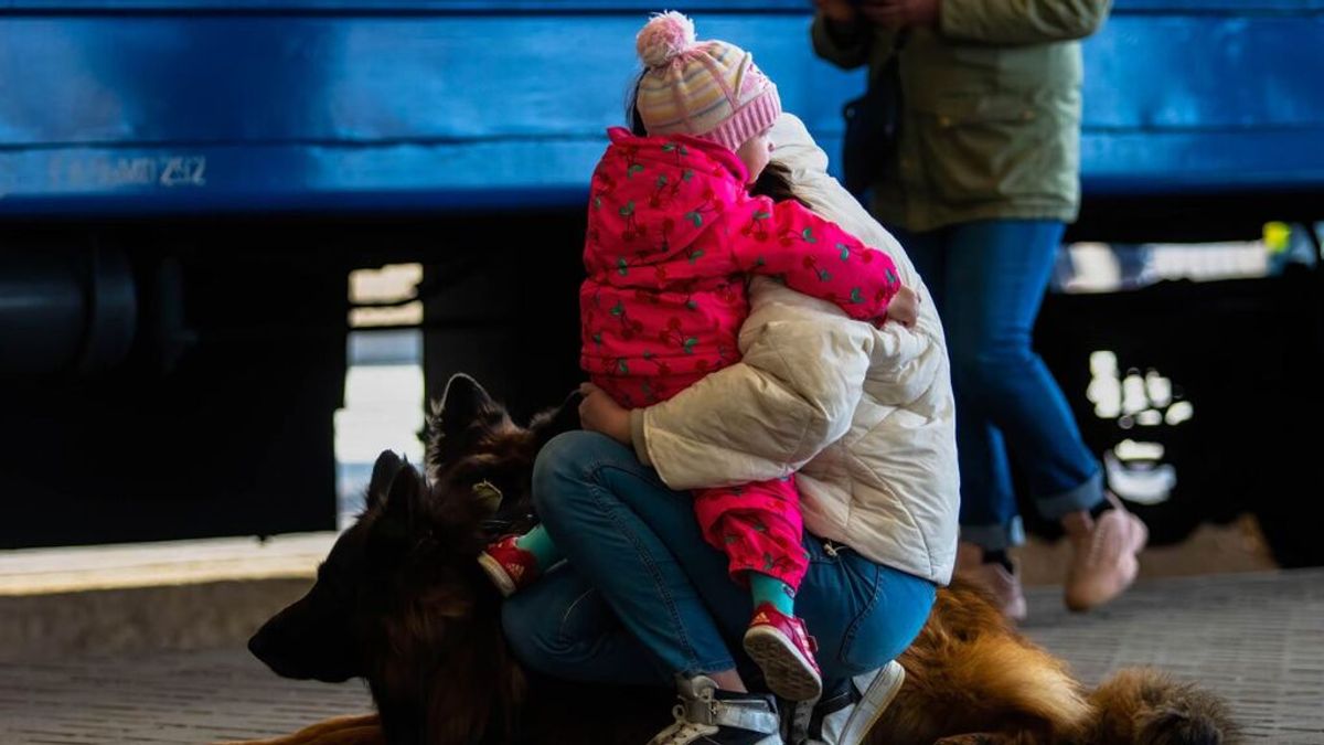 Más de 600 llamadas al teléfono para acoger refugiados ucranianos en su primer día de funcionamiento