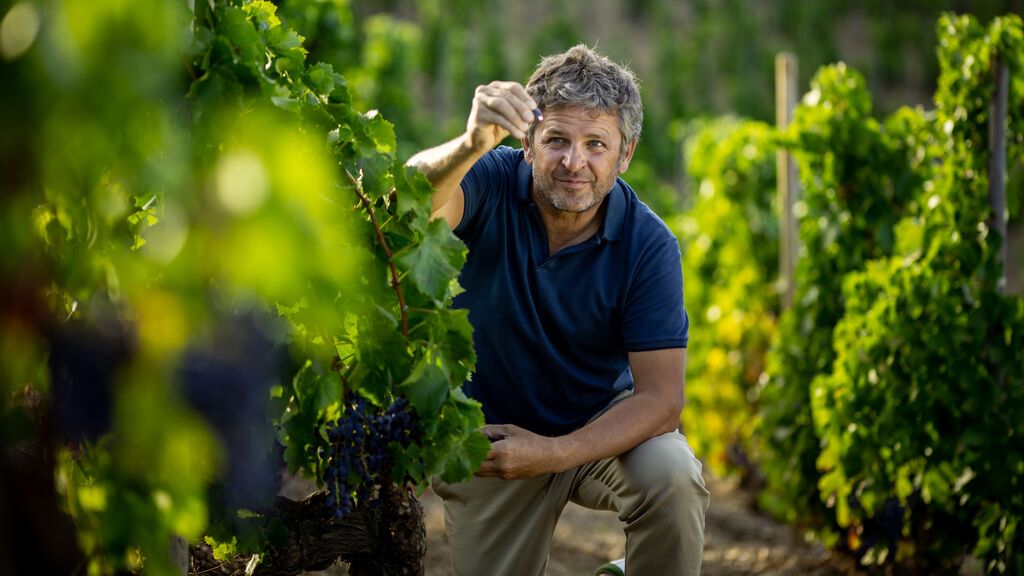 Álvaro Palacios y los viñedos tocados por la mano de Dios