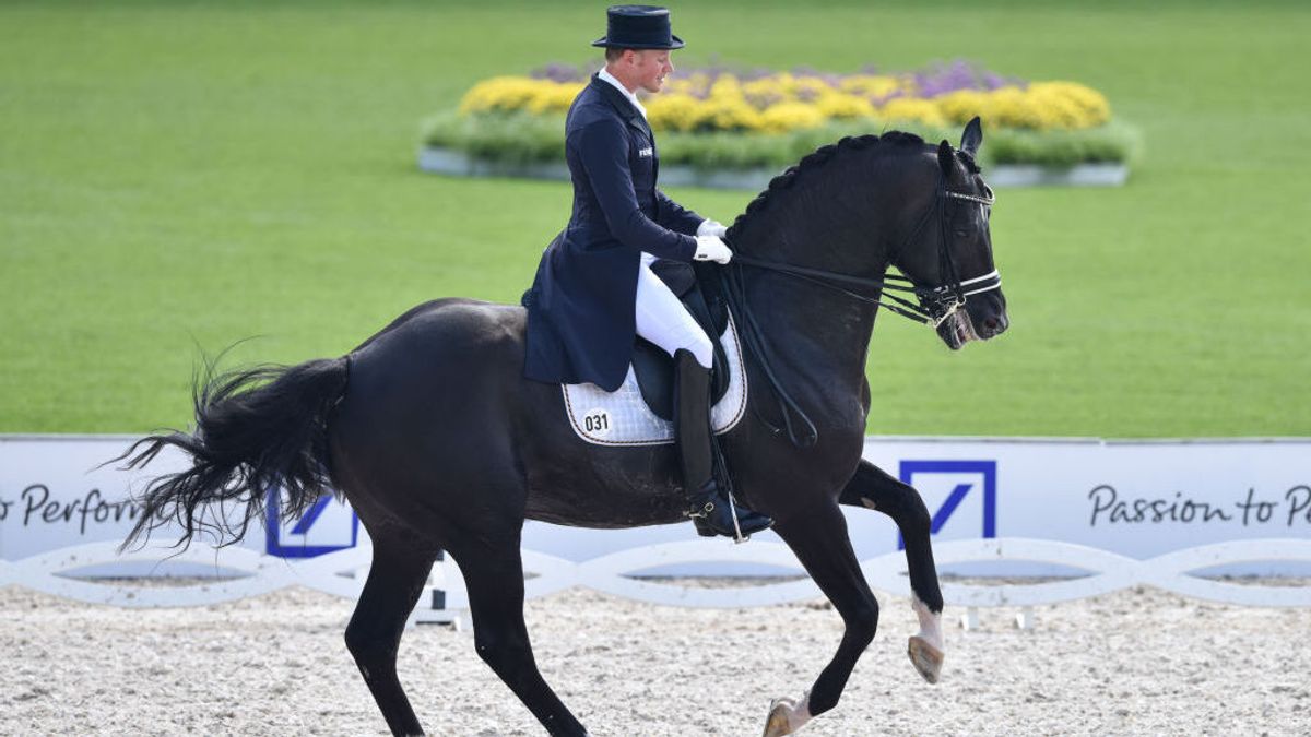 Disputa judicial en Países Bajos por el semen de un caballo semental muerto hace un año Disputa judicial en Países Bajos por el semen de un caballo semental muerto hace un año