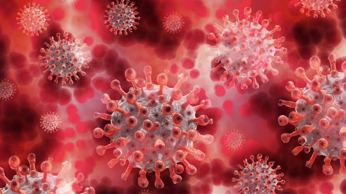 Un experto del CSIC vaticina que las pandemias "serán cada vez más frecuentes": "Hay que estar preparados"