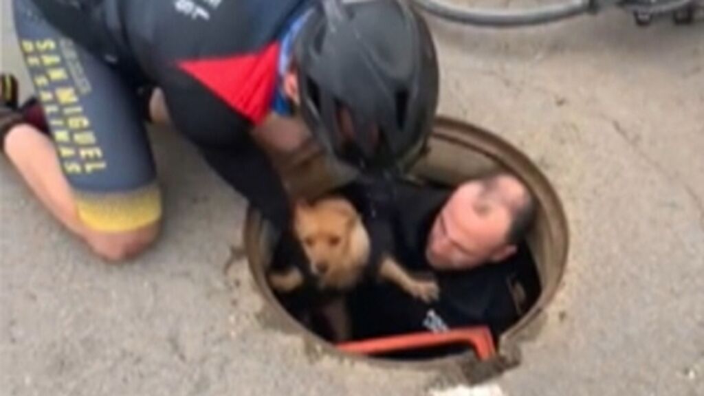 Rescatan a un perro que había caído a una alcantarilla en San Miguel de las Salinas