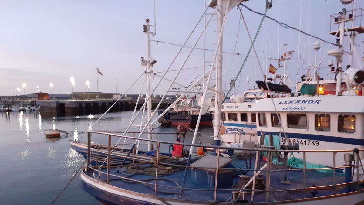 La flota vasca de bajura vuelve a faenar y captura 10.000 kilos de verdel y anchoa La flota vasca de bajura vuelve a faenar y captura 10.000 kilos de verdel y anchoa