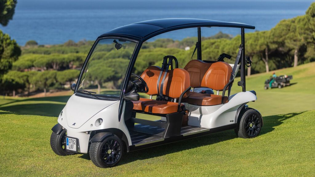 carro golf reina