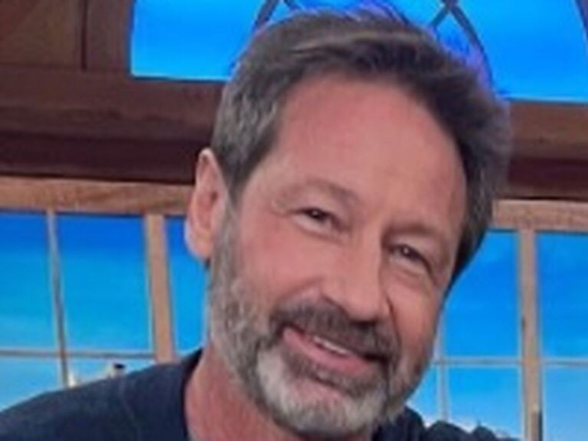 Mulder Actor 60 Photos - Moonagedaydream.film