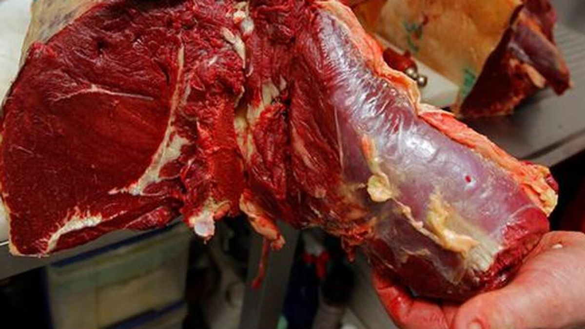 Juzgados en Madrid por vender carne de caballo en mal estado: la condena de hasta nueve años de prisión
