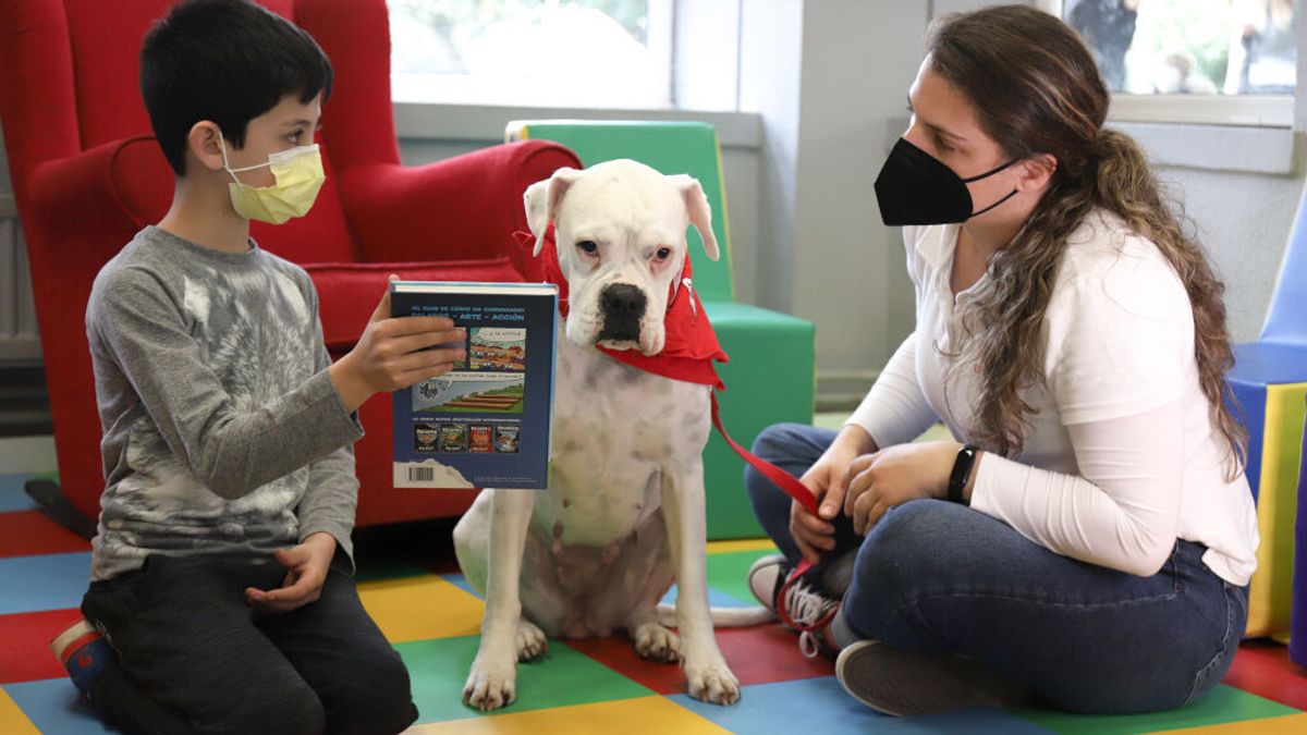 Dana y Nora, perras de cuento para ayudar a los niños de Culleredo con la lectura