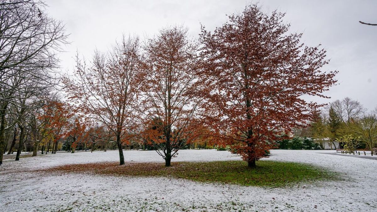 Alerta amarilla por nieve a 200 metros este viernes en Euskadi Alerta amarilla por nieve a 200 metros este viernes en Euskadi
