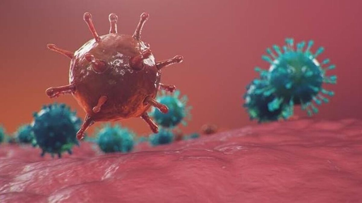 Investigadores españoles descubren un nuevo mecanismo de infección por coronavirus Investigadores españoles descubren un nuevo mecanismo de infección por coronavirus