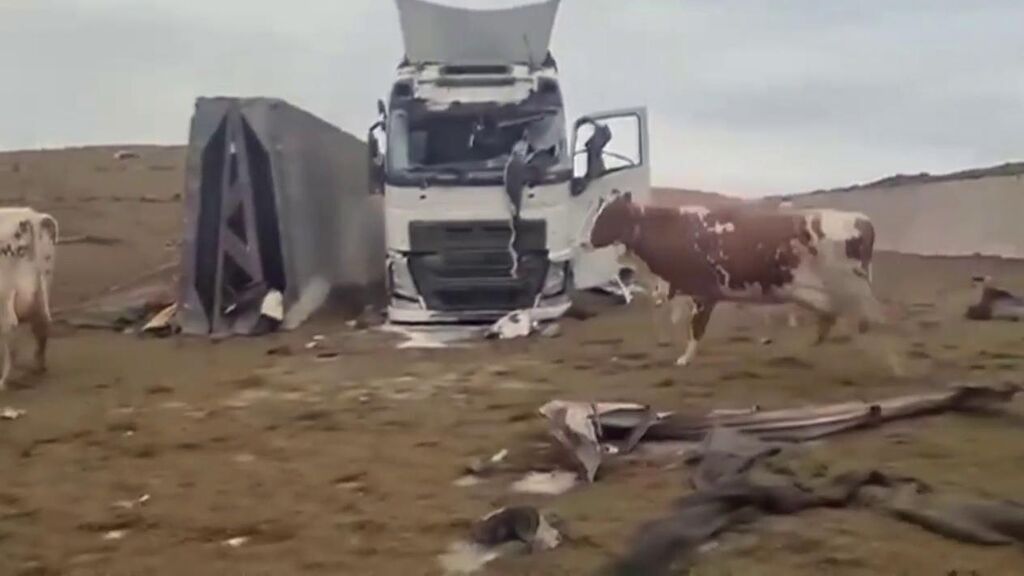 Rusia bombardea una explotación ganadera en Járkov: las vacas que han sobrevivido pastan desorientadas