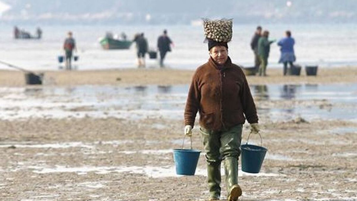 Anmupesca y Upta se unen por la igualdad de derechos de las trabajadoras del mar