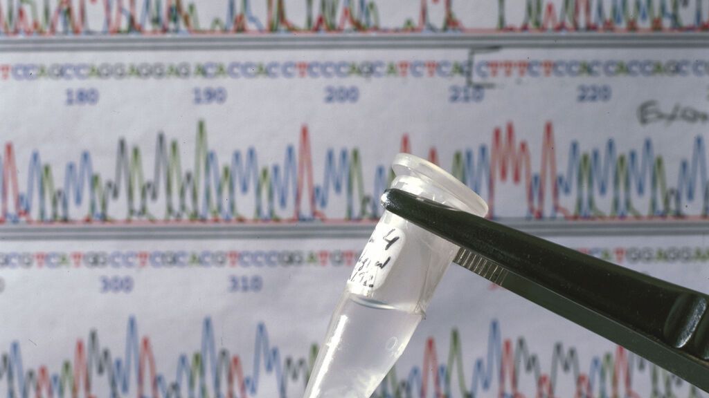 ¿Para qué sirve conocer el genoma humano completo?