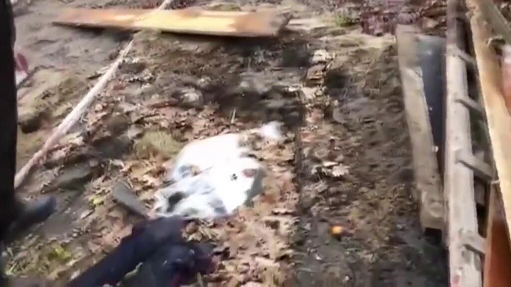 IMÁGENES SENSIBLES: Ucrania culpa a Rusia de maniatar y asesinar a civiles en Bucha