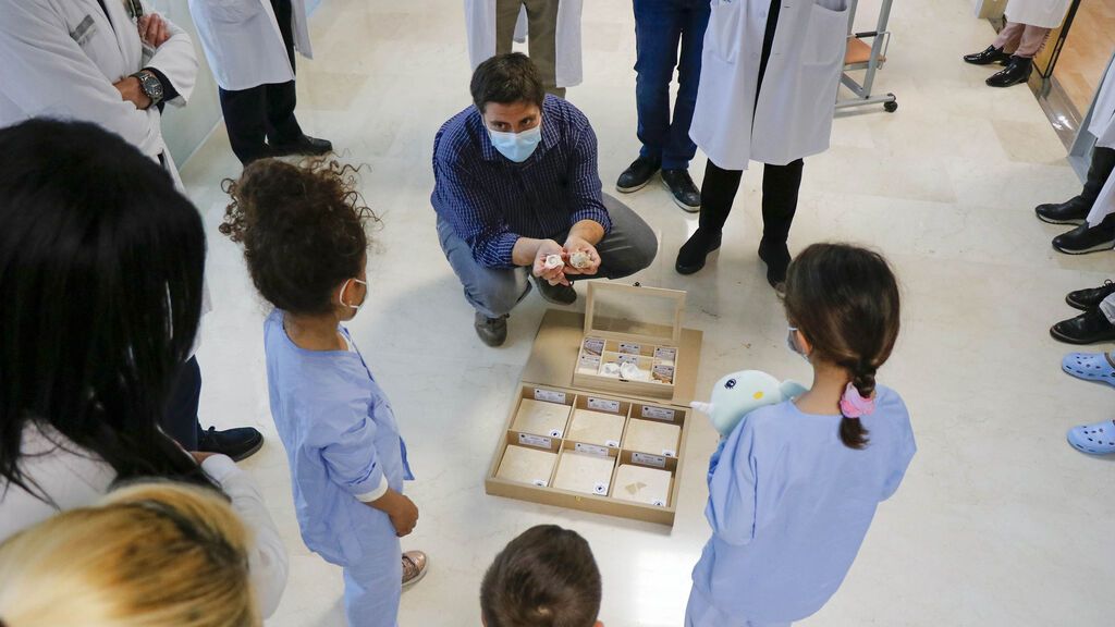 La Fe de Valencia viste sus paredes con fósiles de más de 50 millones de años como terapia pediátrica