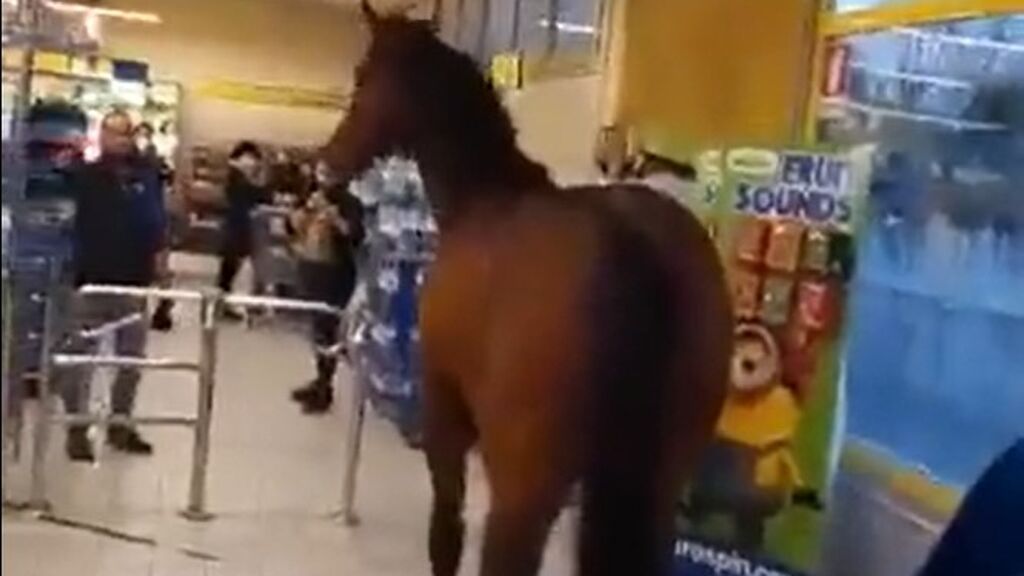 Surrealista momento: un caballo entra a un supermercado italiano y así reaccionan los clientes
