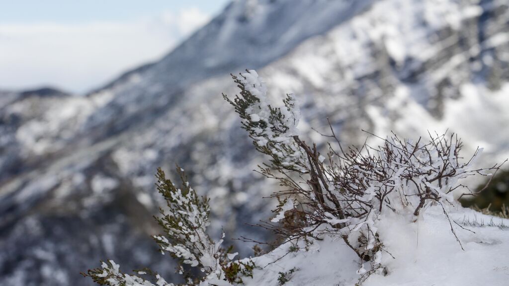 Avisos por heladas y nieve a 500 metros por una nueva borrasca: ¿Hasta cuándo hará frío en España?