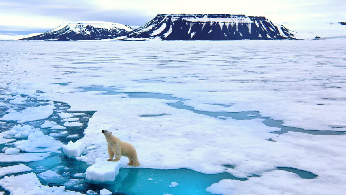 El plástico llega al Ártico: hallan contaminación en zonas remotas del Polo Norte