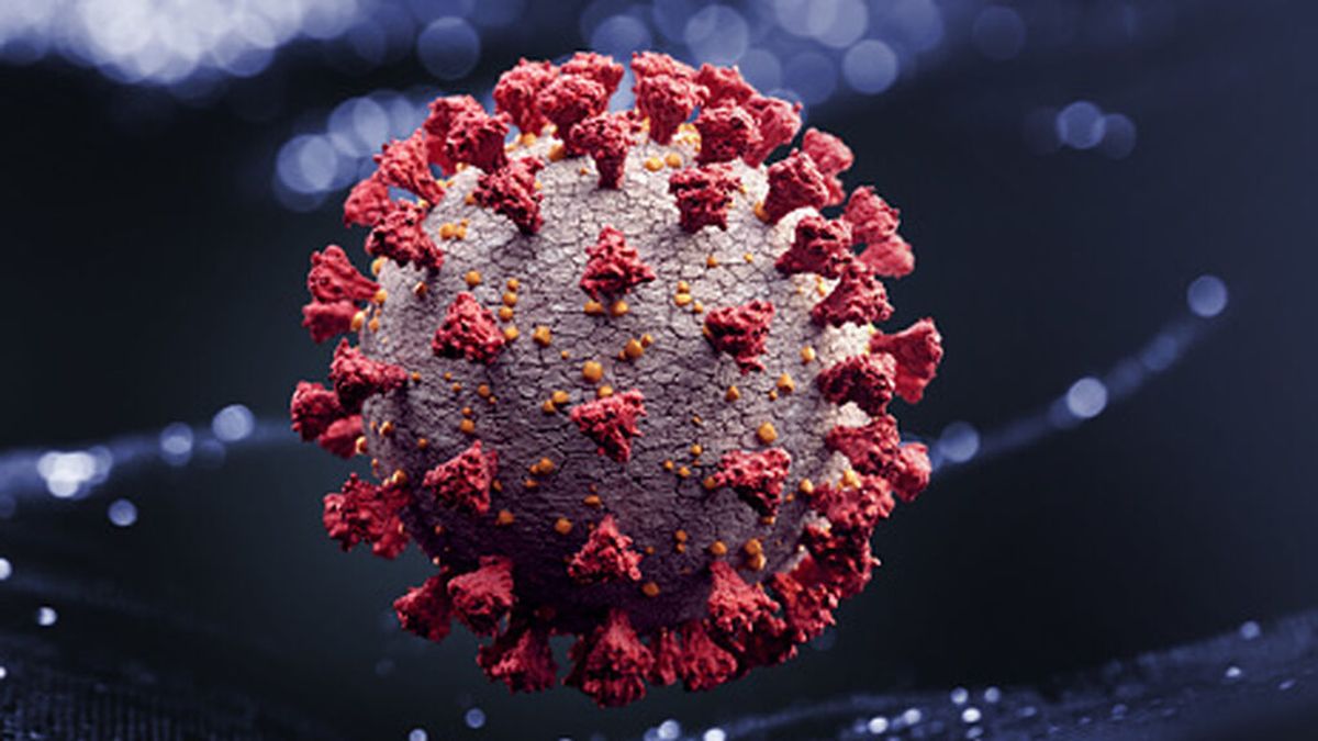 La razón de por qué la covid desencadena una inflamación masiva: el SARS-CoV-2 infecta a las células inmunitarias La razón de por qué la covid desencadena una inflamación masiva: el SARS-CoV-2 infecta a las células inmunitarias