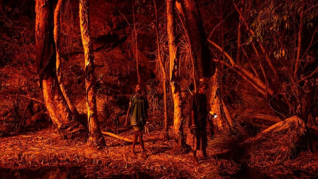 World Press Photo Reportaje Gráfico del Año a Mathew Abott