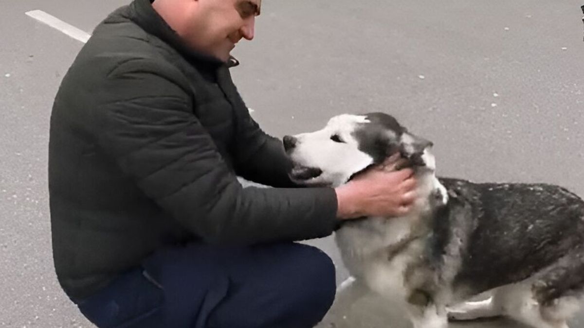 El reencuentro entre un perro y su dueño separados durante el asedio a Bucha El reencuentro entre un perro y su dueño separados durante el asedio a Bucha