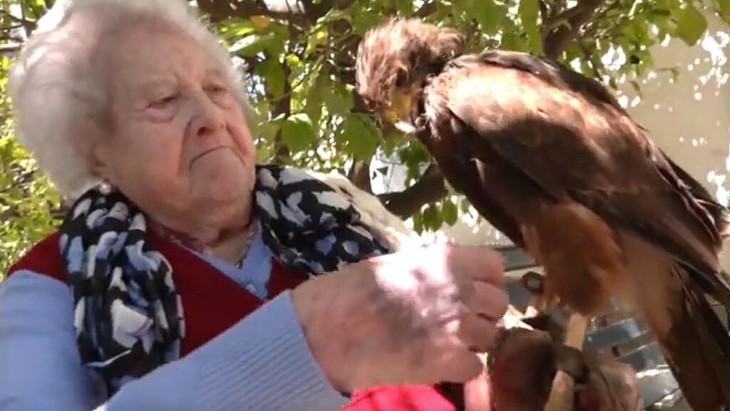 Rapaces utilizadas para terapia con personas mayores