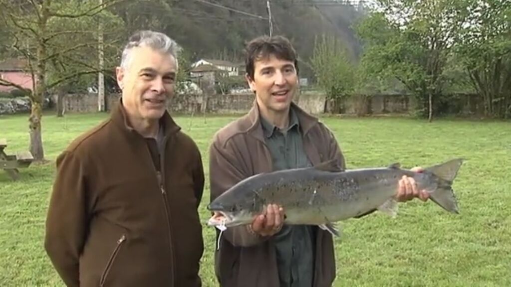 El campanu de Asturias de este año se pesca en el río Narcea, pesa 6,730 kilos y mide 84 centímetros