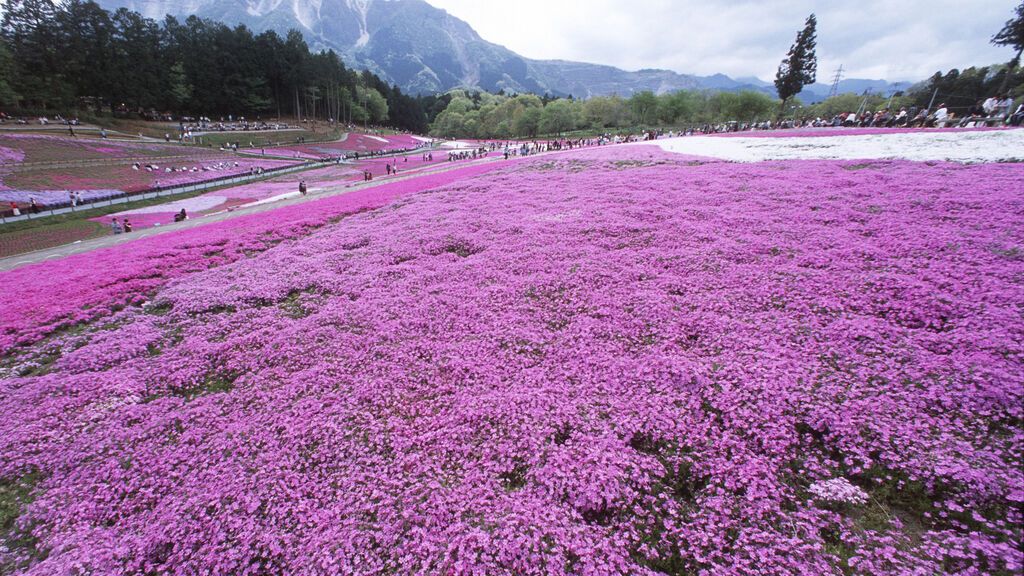 GettyImages-144826782