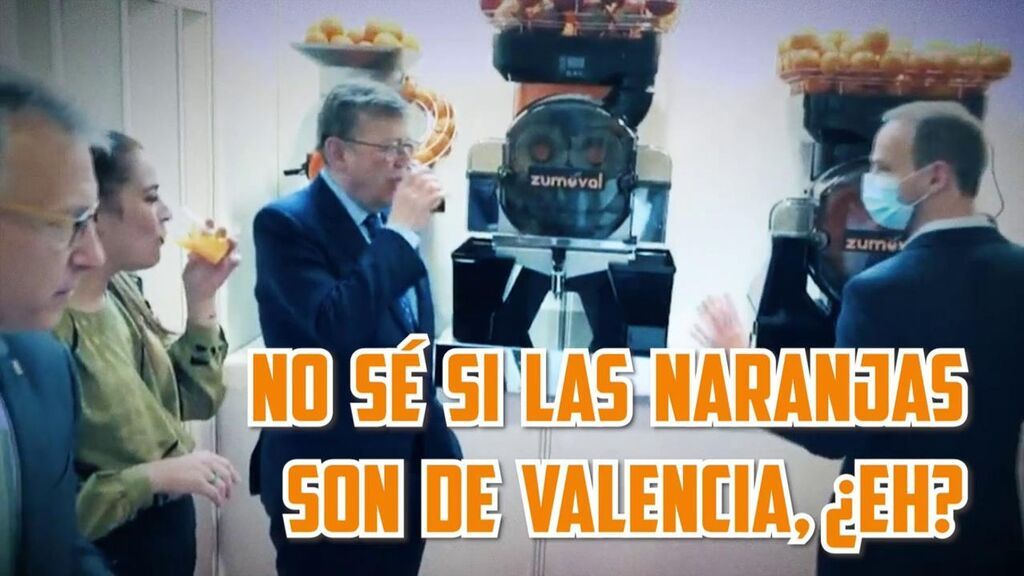 La polémica de las naranjas valencianas Todo es mentira 2022 Programa 816