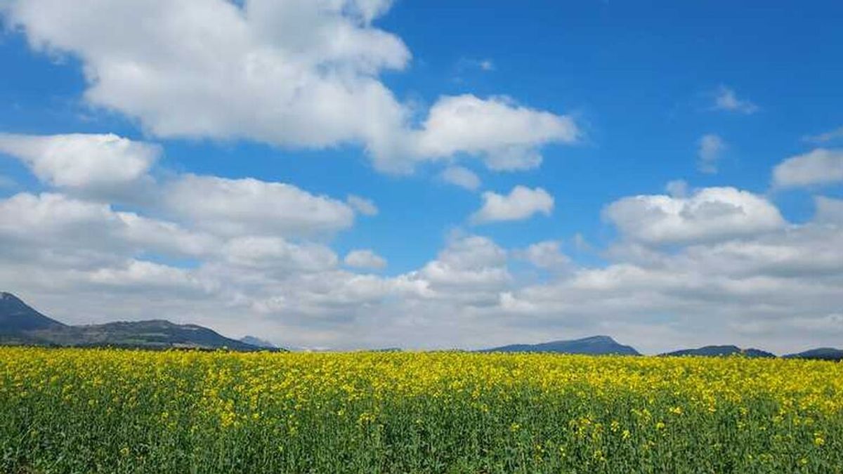 Euskadi disfrutará de una Semana Santa soleada con máximas de 22 grados Euskadi disfrutará de una Semana Santa soleada con máximas de 22 grados